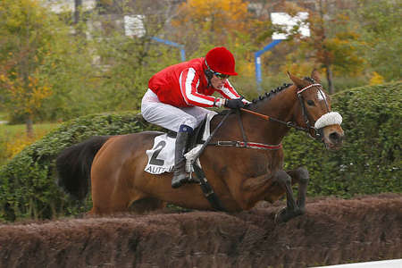 Actualités Hippiques